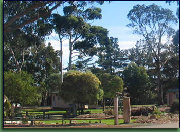 Kalgan River Chalets And Caravan Park - Accommodation NSW 1