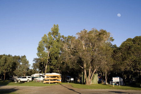 Molloy Caravan Park - Accommodation NSW 1