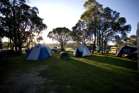 Molloy Caravan Park - Accommodation NSW 2