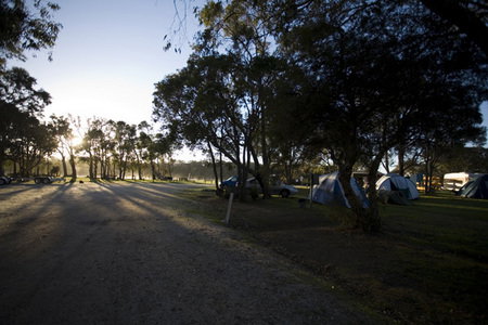 Molloy Caravan Park - Accommodation NSW 3