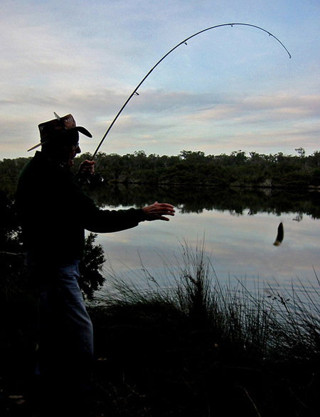 Molloy Caravan Park - Accommodation NSW 5