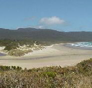 Cloudy Bay Cabin - Accommodation NSW