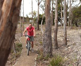 Tranquil Point Retreat - Accommodation NSW 1