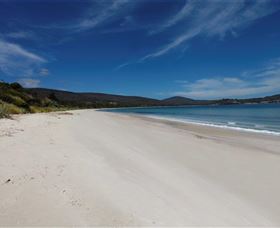 White Beach Tourist Park - Accommodation NSW 1
