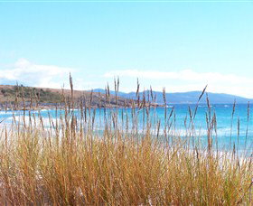 White Sands Estate - Accommodation NSW 1