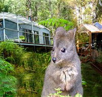 Huon Bush Retreats - Accommodation NSW