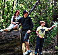 Tahune Airwalk Lodge - Accommodation NSW