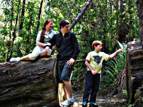 Tahune Airwalk Lodge - Accommodation NSW 0