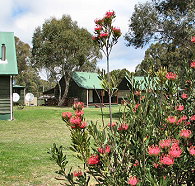 Derwent Bridge Chalets  Studios - Accommodation NSW