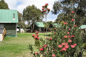 Derwent Bridge Chalets & Studios - Accommodation NSW 0