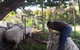 Huon Valley Backpackers - thumb 7