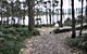 Eco Camping And Glamping Family And Pet Friendly, Secluded And Private Safe And Secure By Appointment Only - thumb 1