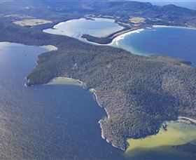 Bruny Island Experience - Accommodation NSW 5