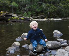 Tyenna River Cottage - Accommodation NSW 3