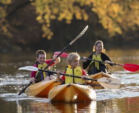 Swallows Nest Guesthouse - Accommodation NSW 5
