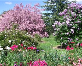 Elmshurst - Accommodation NSW 0