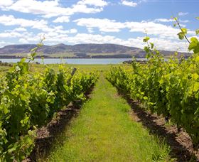 Riversdale Estate Cottages - Accommodation NSW 0