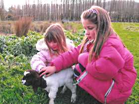 Huon Valley Caravan Park - Accommodation NSW 0