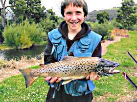 Huon Valley Caravan Park - Accommodation NSW 1