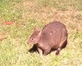 Huon Valley Bed And Breakfast - Accommodation NSW 3