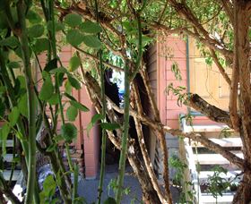 Memory Lane Cottages - Accommodation NSW 2