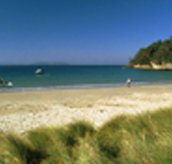 Recreation Cottage - Accommodation NSW