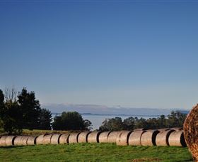 Clear Creek Cottage - Accommodation NSW 5