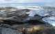 Bruny Ocean Cottage - thumb 4