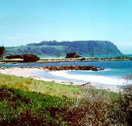 Beach Retreat Tourist Park - Accommodation NSW