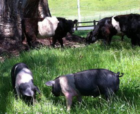 Hurlfield Farm Cottage - Accommodation NSW 2