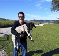 Hurlfield Farm Cottage - Accommodation NSW