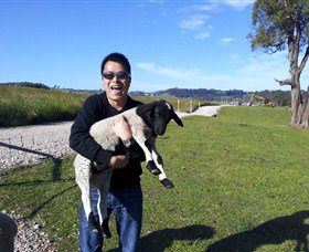 Hurlfield Farm Cottage - Accommodation NSW 0