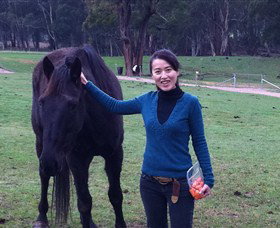 Hurlfield Farm Cottage - Accommodation NSW 5