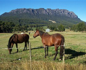 Hurlfield Farm Cottage - Accommodation NSW 4