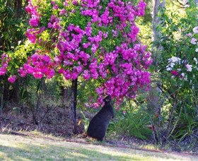 River House - The - Accommodation NSW 1