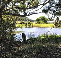 Newry Park Cottage - Accommodation NSW