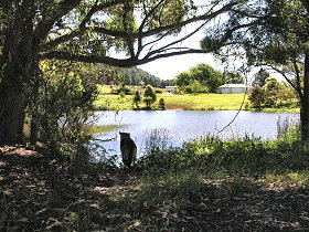 Newry Park Cottage - Accommodation NSW 0