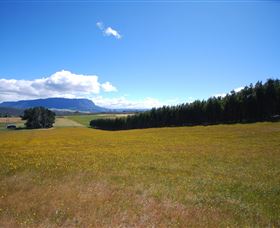 Helvetia Retreat - Accommodation NSW 2