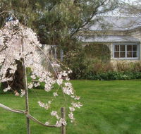 Glencoe Country Bed and Breakfast - Accommodation NSW