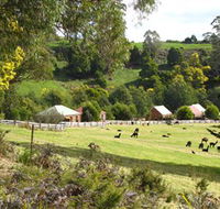 Tin Dragon Trail Cottages - Accommodation NSW