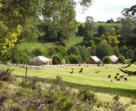 Tin Dragon Trail Cottages - Accommodation NSW 0