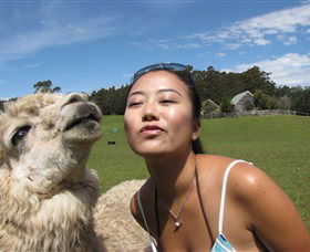 Tin Dragon Trail Cottages - Accommodation NSW 4