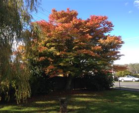 Acacia Bed And Breakfast - Accommodation NSW 3