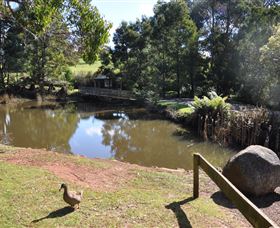 Northeast Park - Accommodation NSW 4