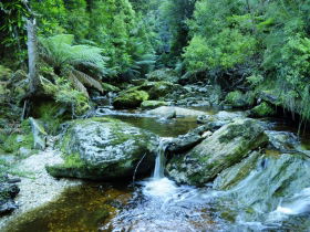 Tarkine Wilderness Experience At Corinna - Accommodation NSW 0