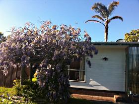 North East Apartments - Accommodation NSW 1