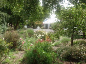 Boat Harbour Garden Cottages - Accommodation NSW 0