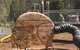 Land Of The Giants Caravan Park - thumb 0