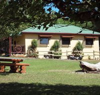 Springfield Deer Farm - Accommodation NSW