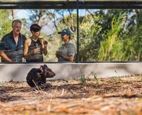 Saffire Freycinet - Accommodation NSW 5